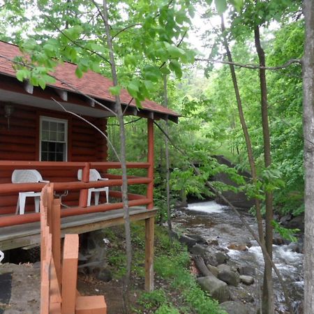 Seven Dwarfs Cabin - On The Brook Cabins بحيرة جورج الغرفة الصورة