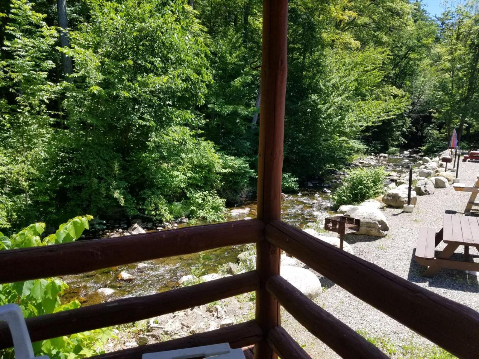 Seven Dwarfs Cabin - On The Brook Cabins بحيرة جورج المظهر الخارجي الصورة